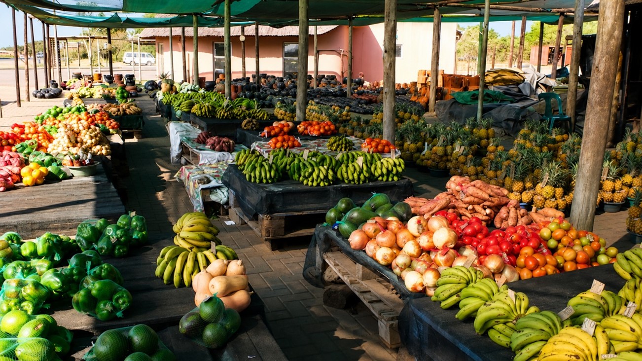 En Afrique du Sud, un premier trimestre 2026 record pour le commerce agricole