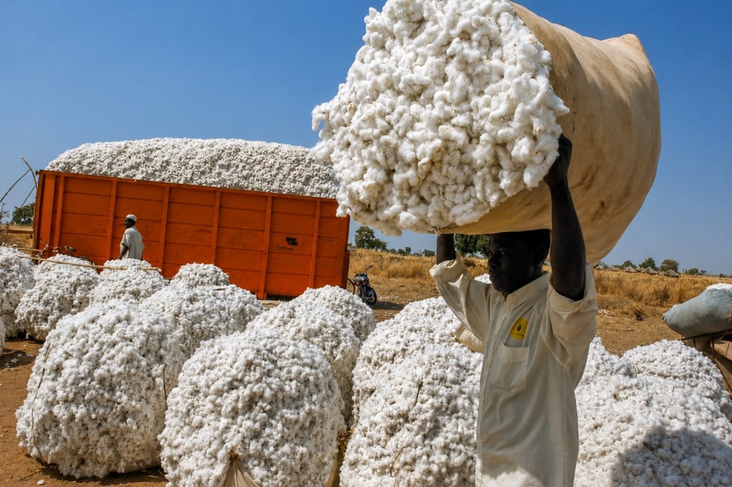 Cameroun : Yaoundé s’appuie sur l’expertise brésilienne pour relancer sa filière cotonnière