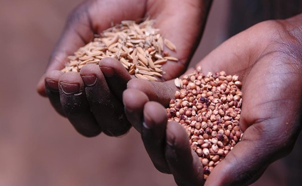 Madagascar : des organisations paysannes dénoncent l’opacité des négociations sur l’Accord de partenariat économique avec l’UE