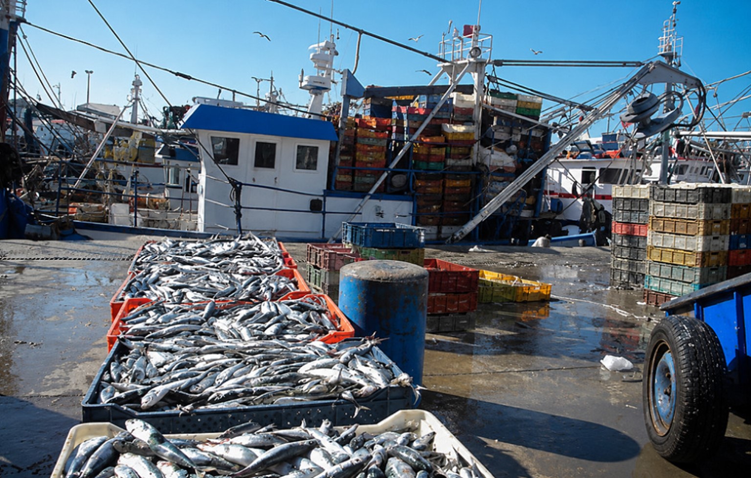 Le Ghana prépare un nouveau port de pêche à Shama pour moderniser sa filière halieutique