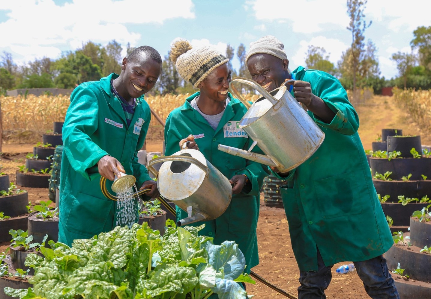Burkina Faso : 8 000 jeunes formés à l’entrepreneuriat agricole, un pari sur la souveraineté alimentaire