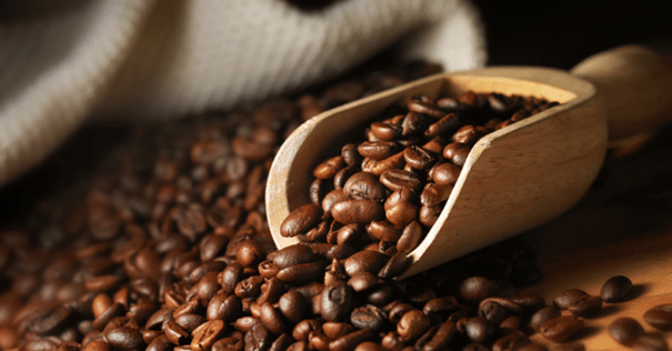 Ouganda : les recettes du café reculent en mai malgré une dynamique annuelle encore favorable