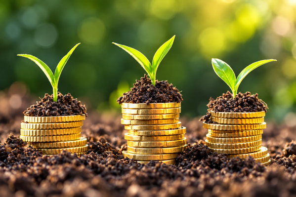 Le Nigeria prépare le financement agricole sans intérêt