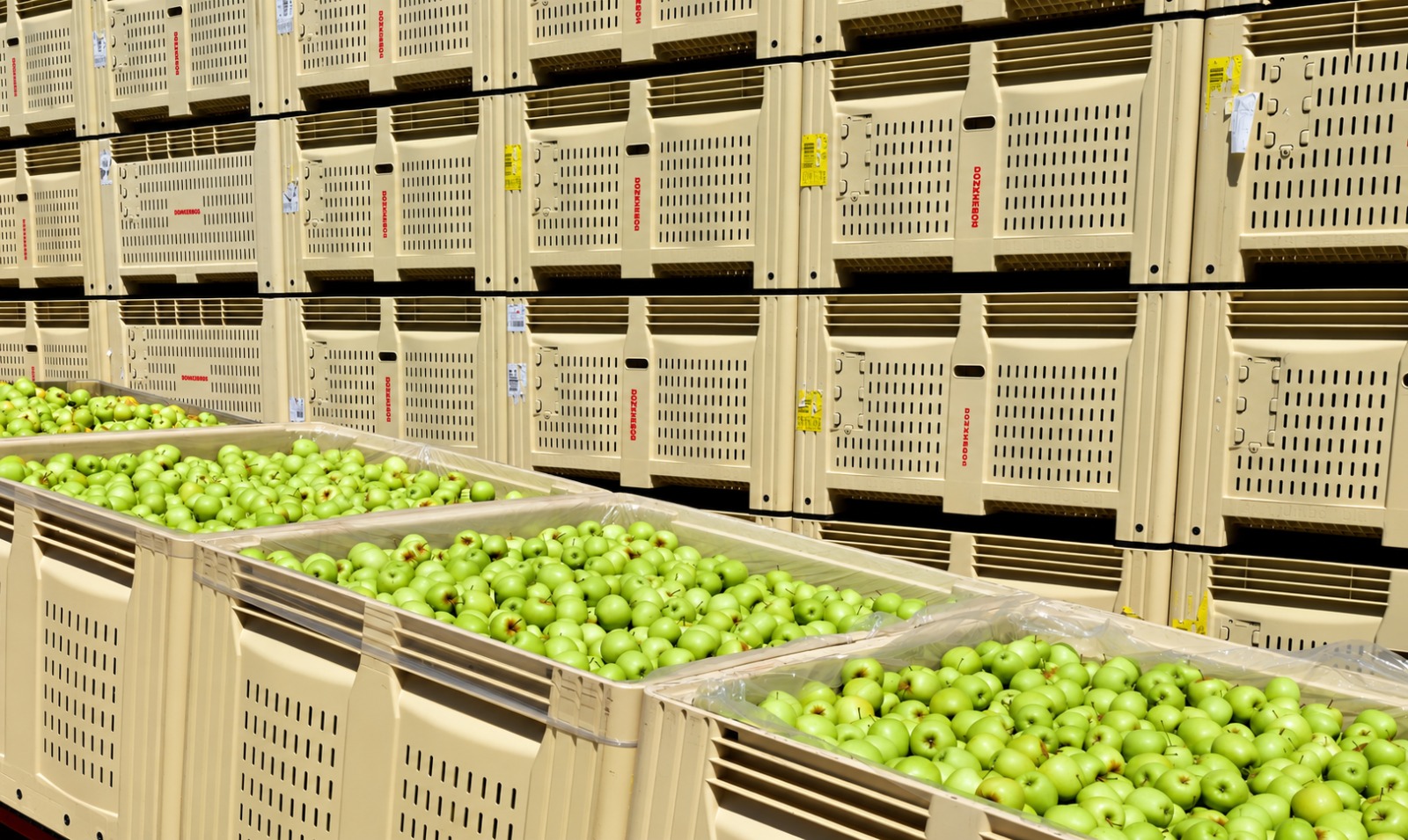 Afrique du Sud : 330 millions de rands pour une usine de concentré de pomme