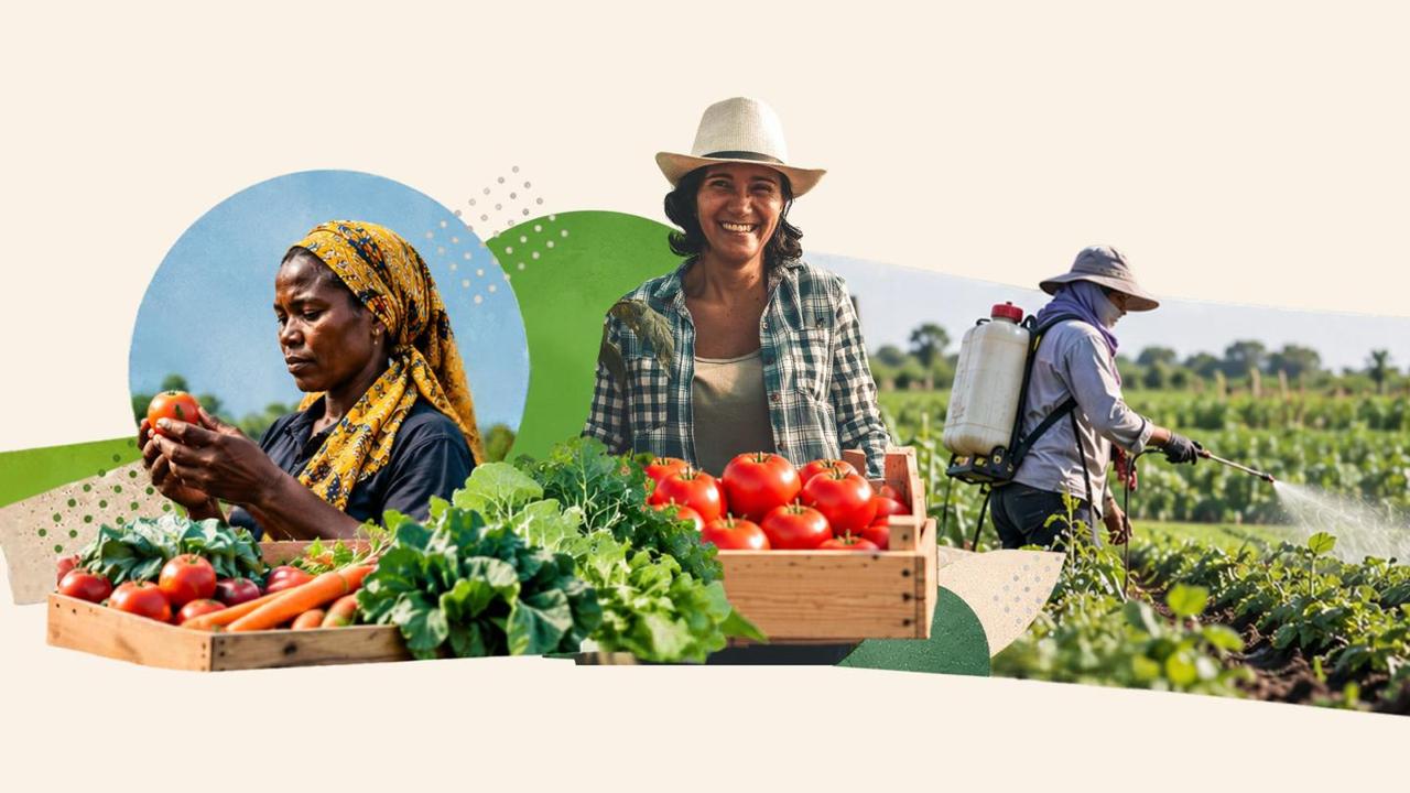 Afrique : le programme FARM+ s’étend à cinq nouveaux pays africains