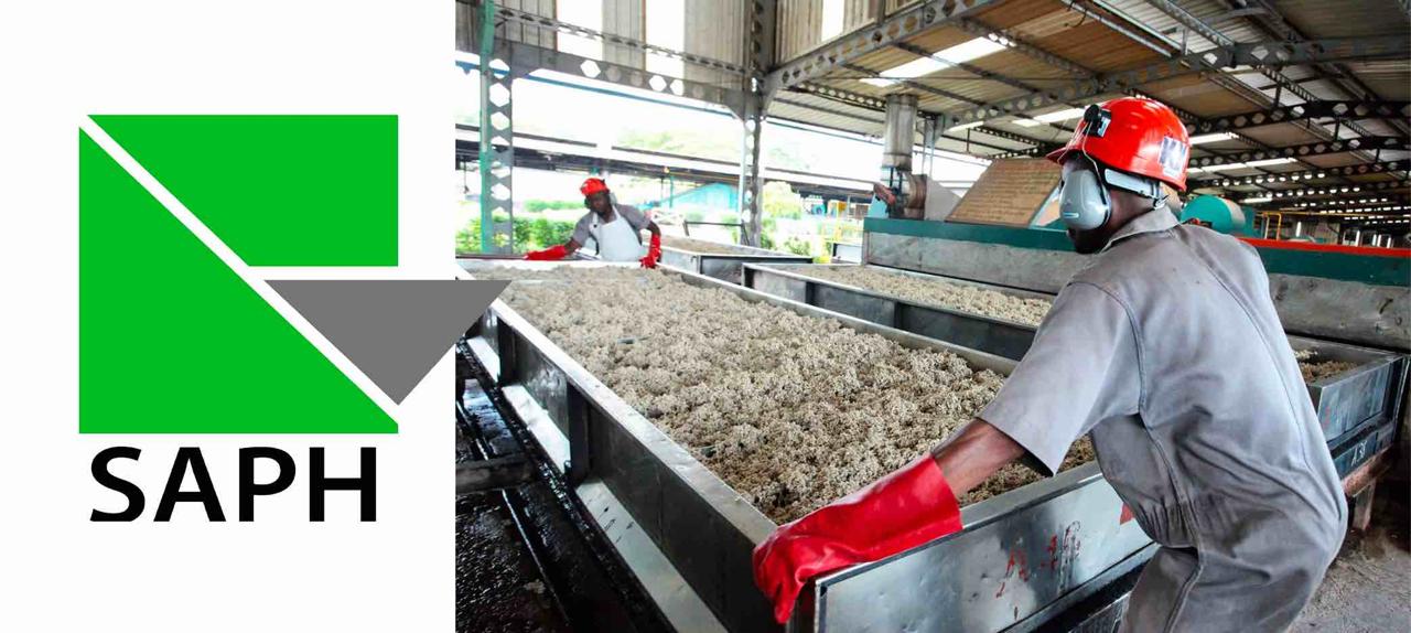 Côte d’Ivoire : SAPH atteint 91 % de son objectif annuel de bénéfice dès septembre