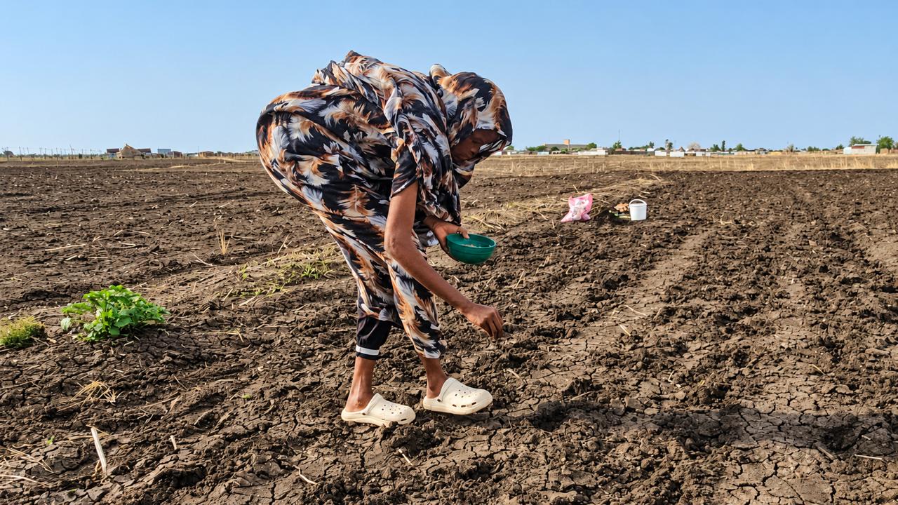Afrique subsaharienne : le FMI alerte sur l’impact économique d’un épisode El Niño